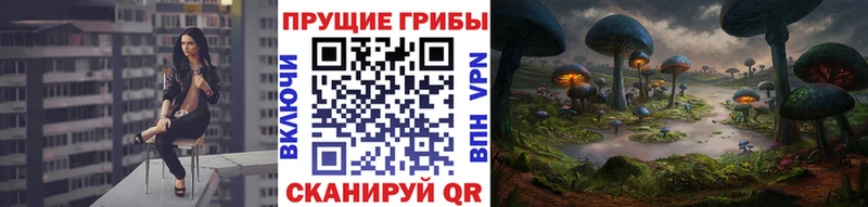Псилоцибиновые грибы Cubensis Черепаново