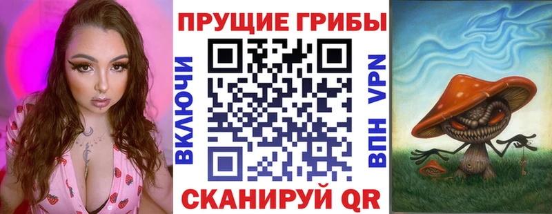 закладки  Черепаново  Псилоцибиновые грибы мухоморы 